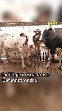 สัตว์ก็(เดือด)ร้อน! หลังยุโรปอุณหภูมิพุ่ง #อากาศร้อน #สัตว์เลี้ยง