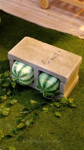 5 MINUTI CREATIVI on Instagram: "Semplici trucchi per avere un giardino rigoglioso!"