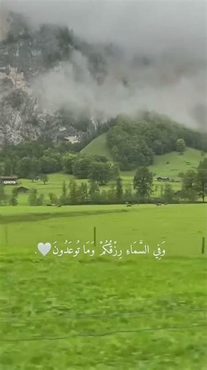 مقطع قرآن قصير بصوت جميل 🌿 #القارئ اسلام صبحي 🎙❤️ ‏حين يحين الرزق ‏تتهيأ أسبابه ولو صعبت سُبله