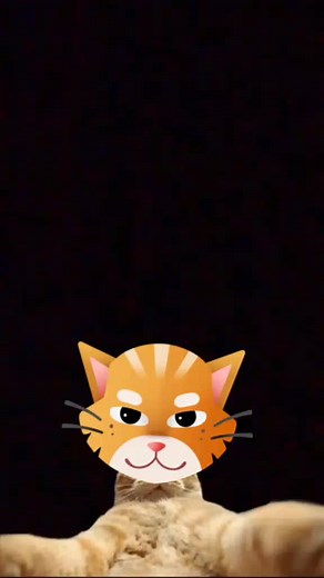 Os vídeos de guilherme (@gui17031) com COWBELL WARRIOR! - SXMPRA