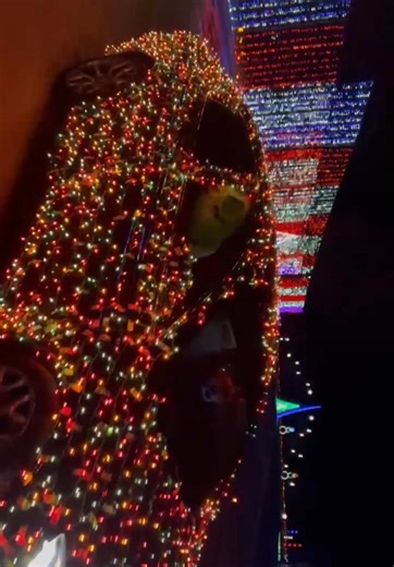 Where even Santa and the Grinch call a truce — Wonderlight’s Christmas can bring everyone together for the holidays ❤️💚#fypシ #Grinch #Santa #ChristmasinOhio #lightshow