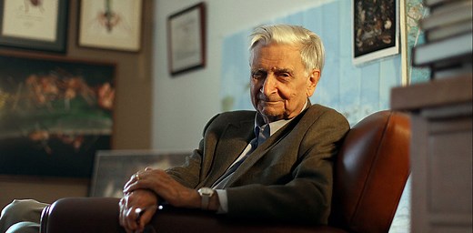 E.O. Wilson’s lifelong passion for ants helped him teach humans about how to live sustainably with nature