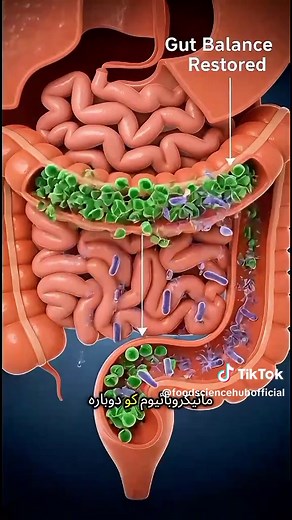 What Happens Inside Your Body When You Eat Yogurt