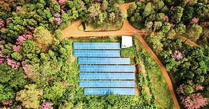 ING: The First Bank With SBTi-Approved Net Zero Goals