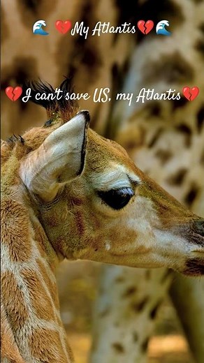 Atlantis 💔I can't save US, my Atlantis #💔 #seafreight #music #lyrics #usa #usashorts