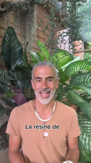 Résine de shilajit Info ou intox ? Le problème est qu'encore une fois on sort une médecine traditionnelle de son contexte populaire pour en faire un produit commercial Sans penser aux conséquences à courts et longs termes Qu'en pensez vous ? Au plaisir de vous lire Zilien 🌿 | Zilien Aroma