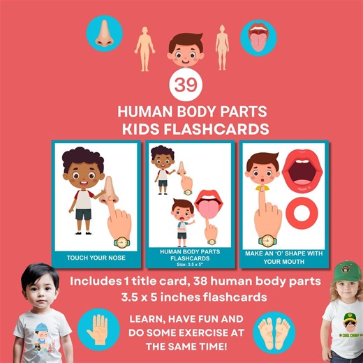 Human Body Parts Flashcards, Kids Anatomy Learning Activity, Children School, Nursery, Home Schooling Science Study Game, Digital Download - Etsy UK