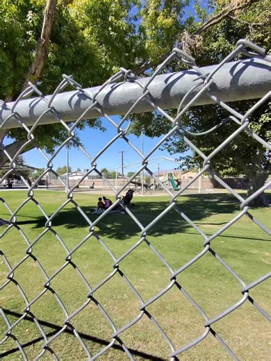 43K views · 12K reactions | Because I’m a stranger I realize people might be hesitant about taking food from me. I try to have a friendly approach, name areas in the neighborhood that I’ve been to so they know I’m familiar and safe. | Shirley Raines | Facebook