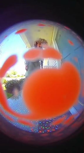 Flower Box… Then BOOM 😂 (Caught on Ring Camera)