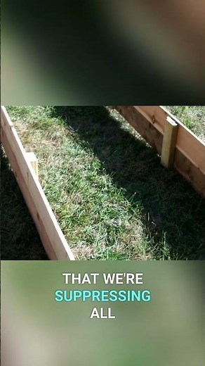 Cardboard Weed Suppression & Spring Planting Secrets Revealed! #diybuild #diy