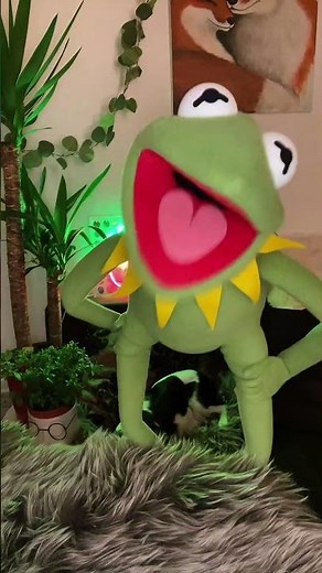 #kermitthefrog #kermitpuppet #funny #djkermit Kermit the frog clubbing