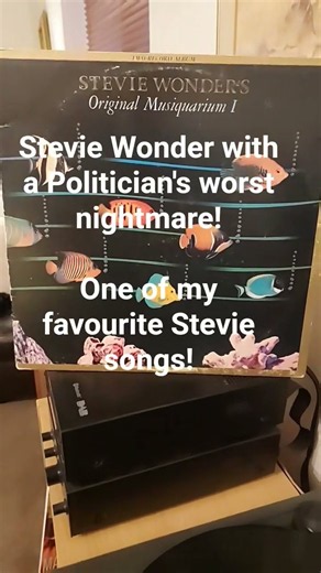 Stevie Wonder - You Haven't Done Nothin'