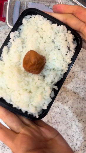 驚きのお肉登場！由緒正しき日の丸お弁当