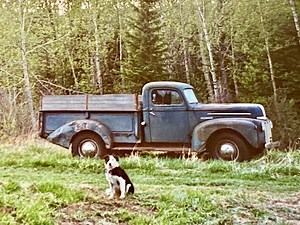 On the Road: 1947 Ford One Ton