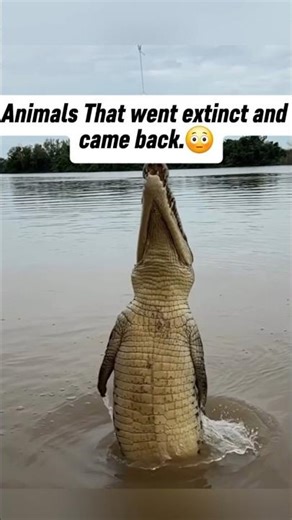 😳Animals That Came Back from Extinction!!(part 3)