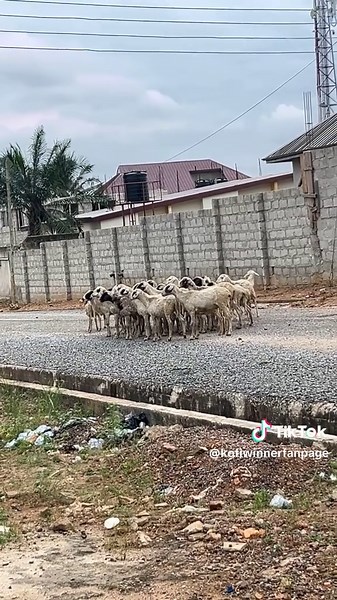 Ultimate Cap Competition: Best Cap Wins!