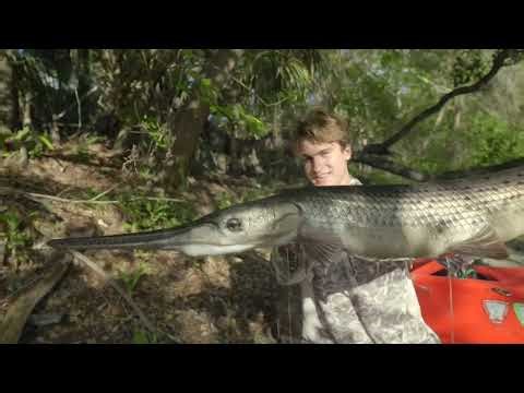 Florida's Natural Rivers & Native Fishes
