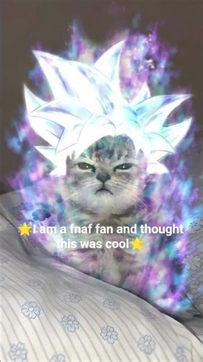 Random pics #idkwhattoput