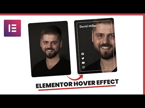 Amazing Elementor ZOOM IN Profile Card Effect | WordPress Elementor Pro Tutorial | Elementor Tricks