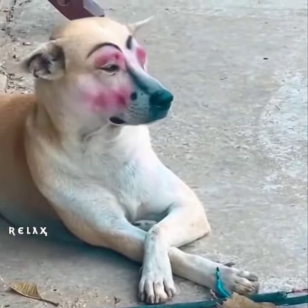 8K views · 388 reactions | Me Bestie With Makeup 藍 | 퐄퐦퐨퐭퐢퐨퐧 퐋퐢퐟퐞" | Facebook