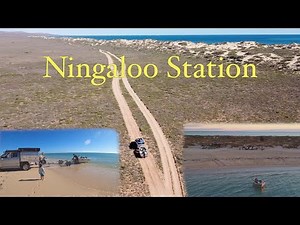 Ningaloo Station | Yardie Creek Crossing | Camping