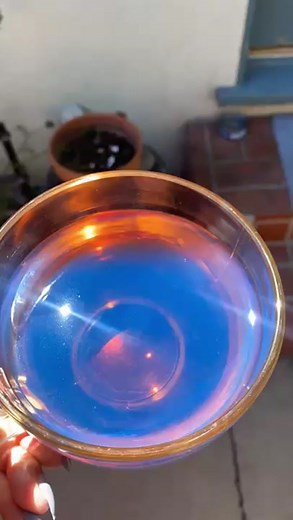 How to make palo azul tea so that it always looks blue? 1. The most important step is using alkaline water because palo azul only turns blue in an alkaline solution. We recommend using spring water because it's naturally alkaline. Some brands that work are Evian, Fiji, Flow, Mountain Valley, Crystal Geyser, Voss, and Zephyrhills. 💦 2. Leave the palo azul in boiling water for 2 minutes and then turn off the heat and let it simmer for around 10-20 minutes until it cools down. ☀️ 3. Pour it in a g