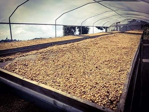 Eye Cracker Espresso Coffee Beans by Koffee Kult | Inside Look