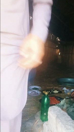 camping with friends in wild.