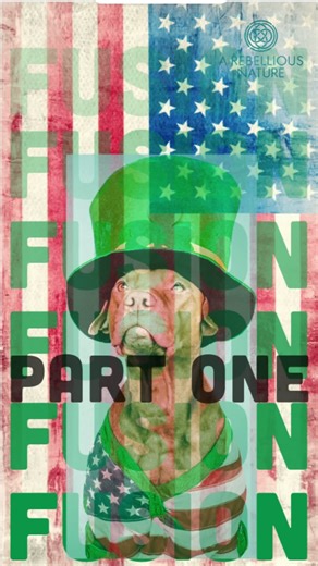 🎵 🇺🇸 American popular music wasn't borrowed from Ireland ☘️ It was invented by Irish Americans who understood something crucial: Translation beats preservation every time. Part 1: The Foundation Between 1845 and 1852, one million Irish arrived. They brought melodic DNA. Storytelling traditions. Call-and-response patterns. But they didn't preserve them in amber. By 1885, Irish Americans comprised 35% of New York City's population. Right where the music industry was forming. Manhattan. 28th Str