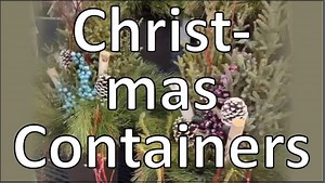 2.2K views · 50 reactions | Fresh green holiday containers beautifully handcrafted and offered in a variety of sizes and colors. Our elves outdo themselves every year! Take a peek. | Gertens | Facebook