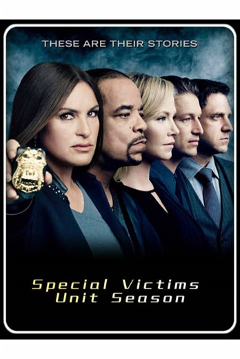 Uncovering the Dark Side of Modeling: A Cautionary Tale