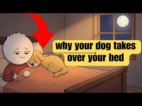 Psychology of Dogs That Sleep With You (What They’re Trying to Tell You)