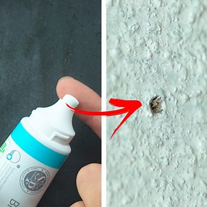 6.1M views · 6.9K reactions | Awesome DIY Crafts & Hacks To Improve Your Life! | Crafty Panda | Facebook