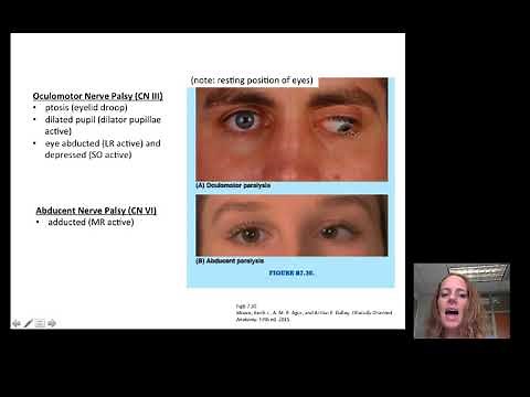 Introduction to Opthalmology