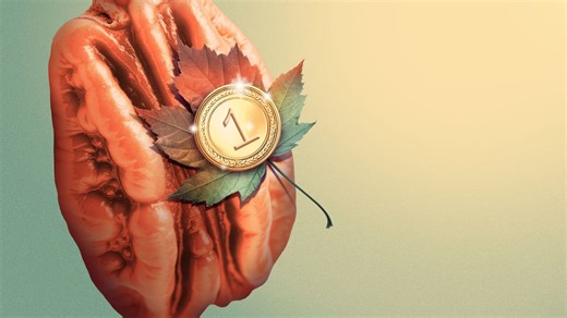 Pecan is a rising fall flavor — however you pronounce it