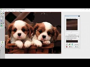 DesignaKnit 9 - Using the Conversion Wizard To Convert A Photo in DesignaKnit Graphics Studio