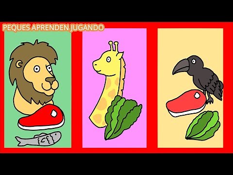 Carnívoros, herbívoros, y omnívoros para niños con ejemplos Video de Peques Aprenden Jugando