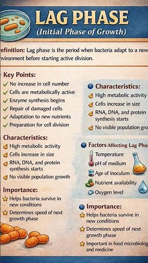 #Bacterial growth curve#Generation time #microbiology