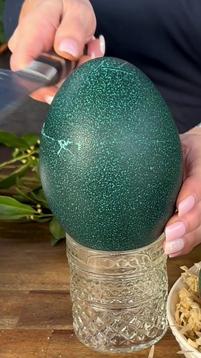 Cracking Open an Emu Egg - How To Guide