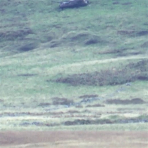 23K views · 395 reactions | Happy Red Hackle Day! 3 SCOTS were practising the destructive power of MORTARS recently in Sennybridge Wales. These awesome weapons can be fired from relative safety near buildings using sandbags, see the story here! And best enjoyed with the SOUND ON! #mortars #3scots #sennybrodge #theroyalregimentofscotland #destructive #urbanmortars #britisharmy | The Army in Scotland | Facebook