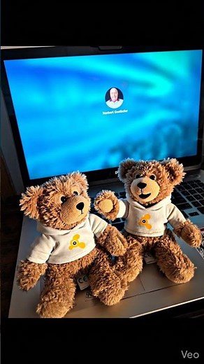 Avast Cleanup - Explained by the Avast Bears!