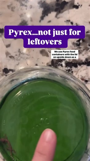 Herd of happy hippos on Instagram: "Been using this method for years and love it! @pyrexhome Pretty sure @iorganizeeverything that said she sometimes stores food like this to be able to see it better. #momof5 #momlifebelike #momhacks #parenting #bugs"