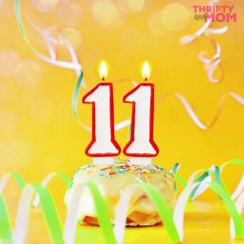 11 year old boy birthday party ideas