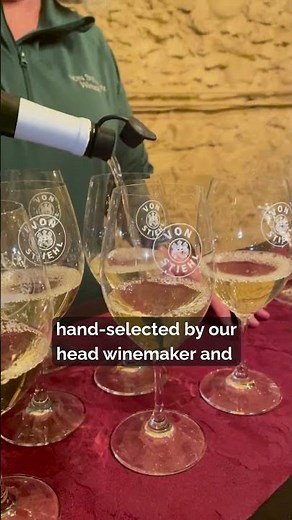 More Than a Wine Tasting | Door County Pairing Tour at Von Stiehl