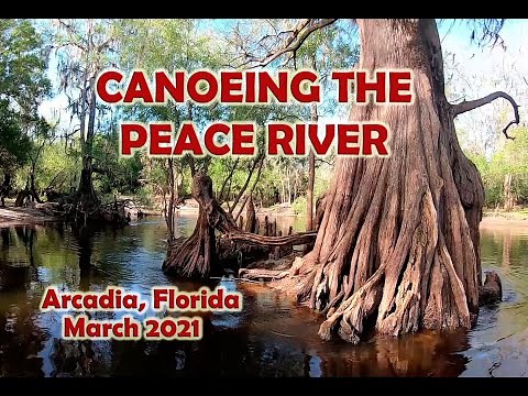 Canoeing down the Peace River in Arcadia Florida
