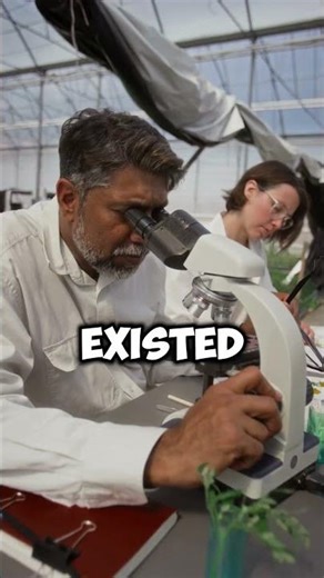 ✨ You Are Made of Stardust || #space #science ‪@Recorded_Phenomena‬