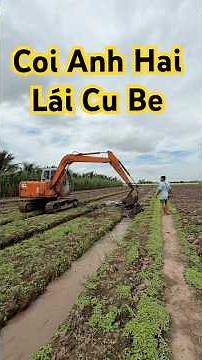 Come to Anh Hai's Place #queochannel #food #windnet #food #western #vlog