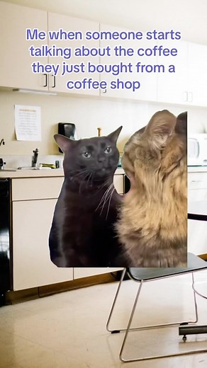 It’s like they don’t know you can make delicious coffee right at home… | Mr. Coffee