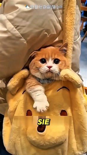 This cat outsmarts everyone 😹🥛🔥 #CuteCat