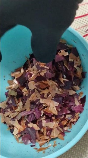 Texture ASMR Hand ASMR 🤯 Satisfying Onion Peel Sounds (No Talking)